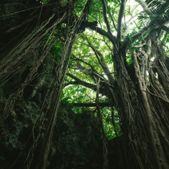 （FREE BGM）不思議な森/Mysterious Forest