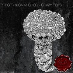 Breger & Calm Chor - Crazy Boys (Breger Version) Free Download