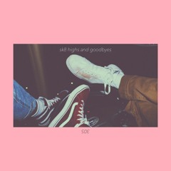 sk8 highs and goodbyes