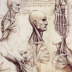 Mannaz (ᛗ) - La bellezza perisce nella vita, ma è immortale nell'arte