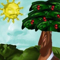 Snoop Dnb