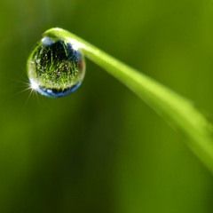Dewdrop Particle Initiation