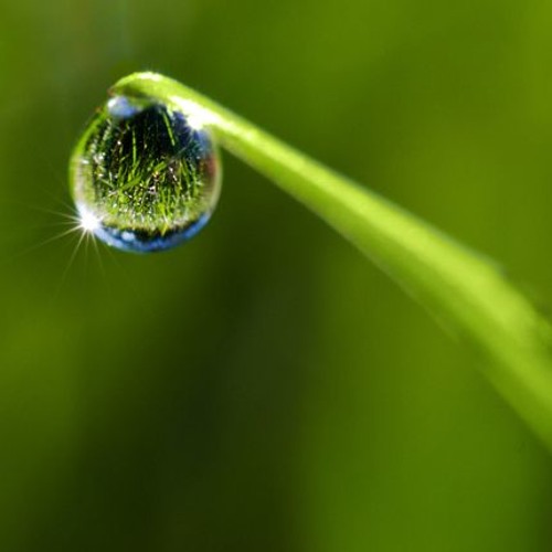 Dewdrop Particle Initiation