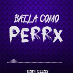 BAILA COMO PERRA - DANI CEJAS