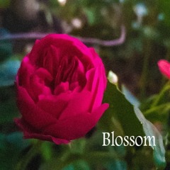 The Graditude Of Equilibrium