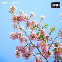 Sky Slayer (feat. SUPER FREDDY)[Prod. UZUAZO]