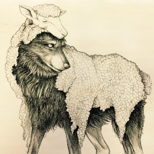 mayfieldblues - ELECTRIC SHEEP (PROD. MATHIASTYNER)