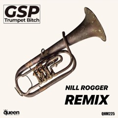 GSP - TRUMPET BITCH (NILL ROGGER REMIX) PREVIEW 80kbps #SOON