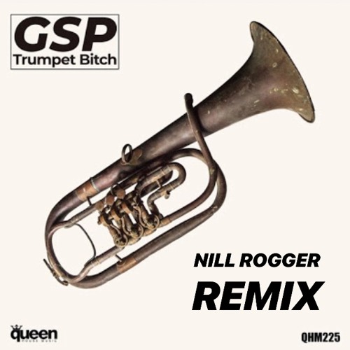 GSP - TRUMPET BITCH (NILL ROGGER REMIX) PREVIEW 80kbps #SOON