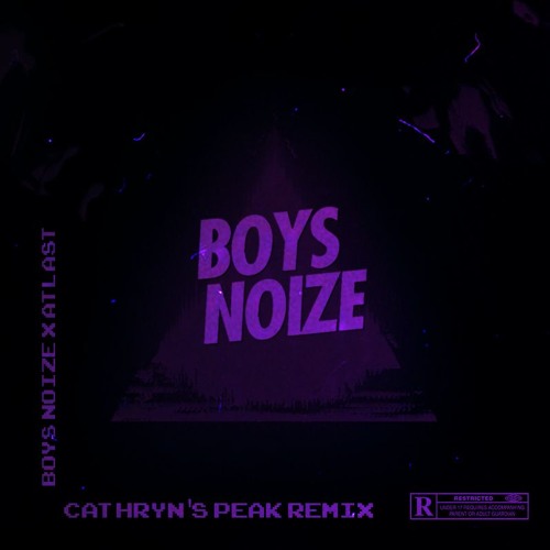 Boys Noize - Cathryn's Peak (ATLAST REMIX)