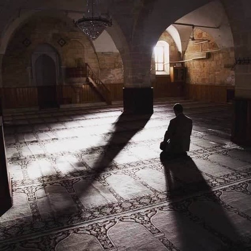 وَاضْرِبْ لَهُم مَّثَلَ الْحَيَاةِ الدُّنْيَا .. الشيخ عامر الكاظمي