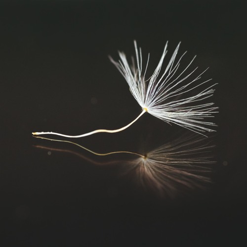 Minimalism -mixed by Steph