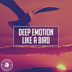 Deep Emotion - Like A Bird (Radio Edit)