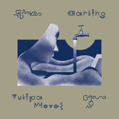 ST012 - Darling - Tulipa Moves