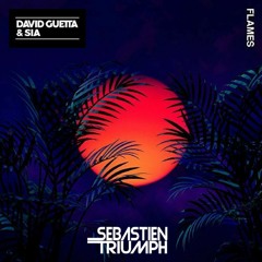 David Guetta & Sia - Flames (Sebastien Triumph Remix)