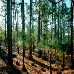 Erik Marek - idontTruss Prod. OrangeKind