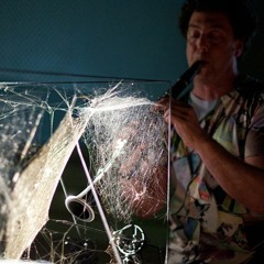 01 Hybrid Encounters »Tomás Saraceno - Art, biology and algorithms« - Concert David Rothenberg Intro