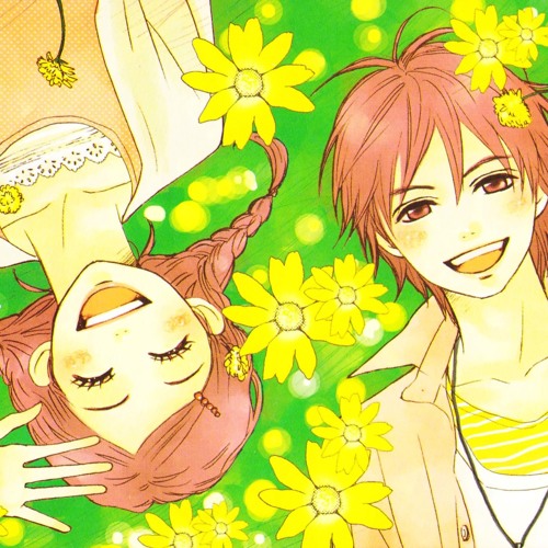 Lovely Complex Kiss
