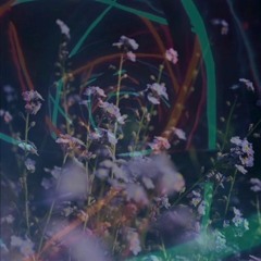 A Bleeding History Repeated Dynasty