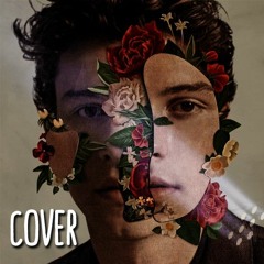Shawn Mendes - Fallin' All In You (Cover)