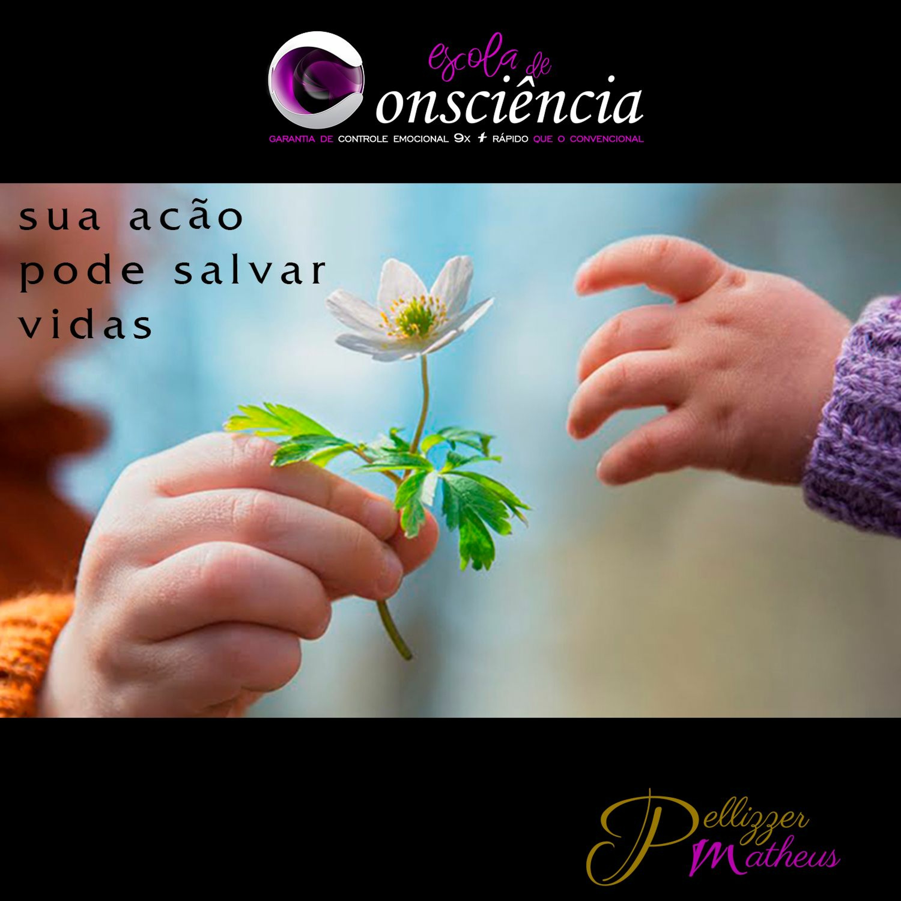Academia de Excelência