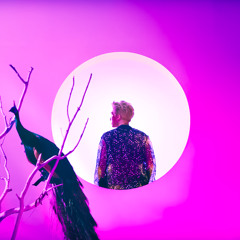 Circle - VIXX - deepfry