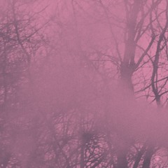 04 Prins Emanuel - I Skyn (Excerpt)