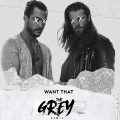 The Grey - Want That - SIFxSKAE (Remix)