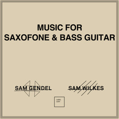 Sam Gendel & Sam Wilkes - THEEM AND VARIATIONS