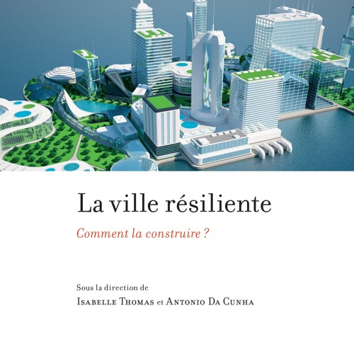 La ville résiliente: comment la construire? Séminaire-midi du CRIEM, 24 mai 2018