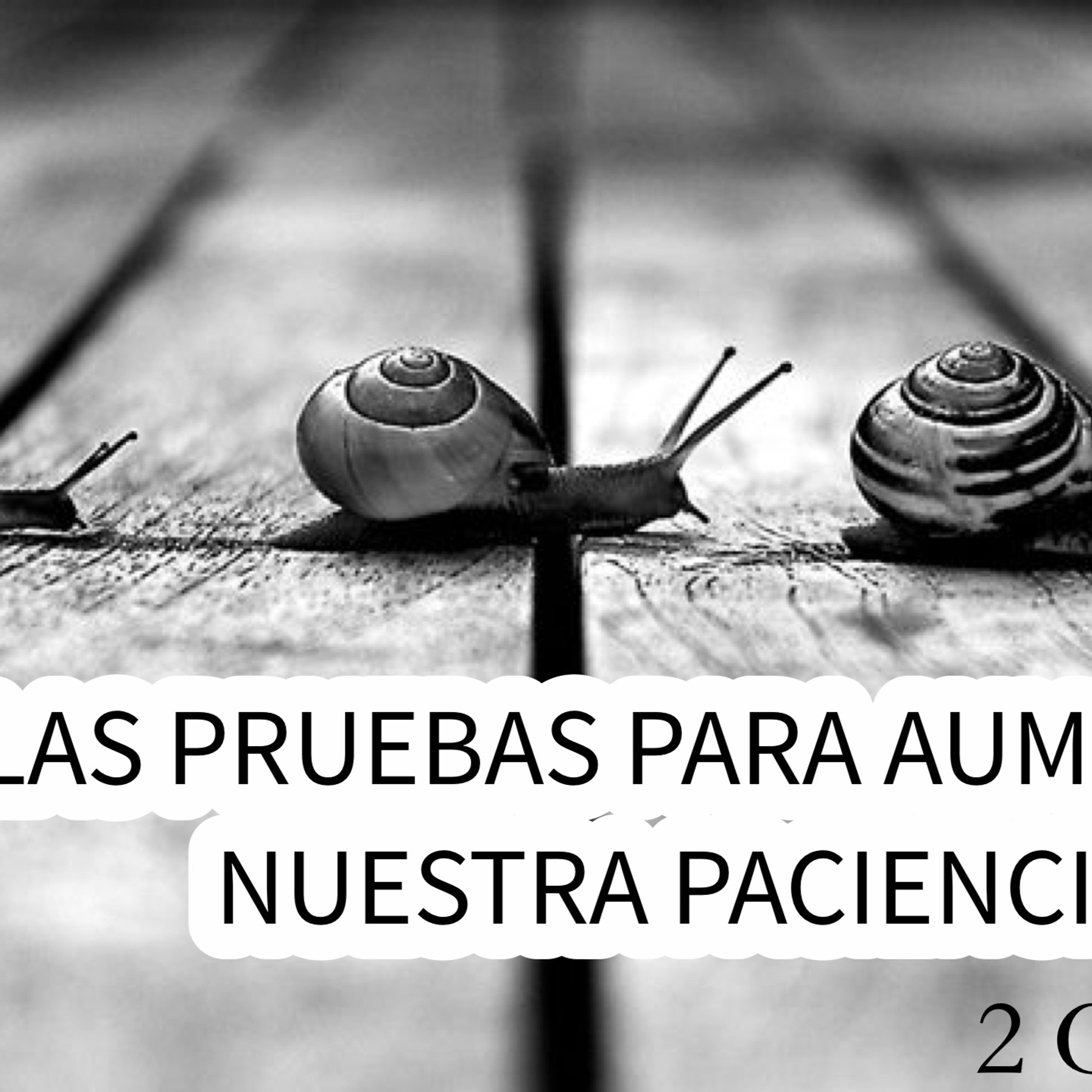 Devocionales