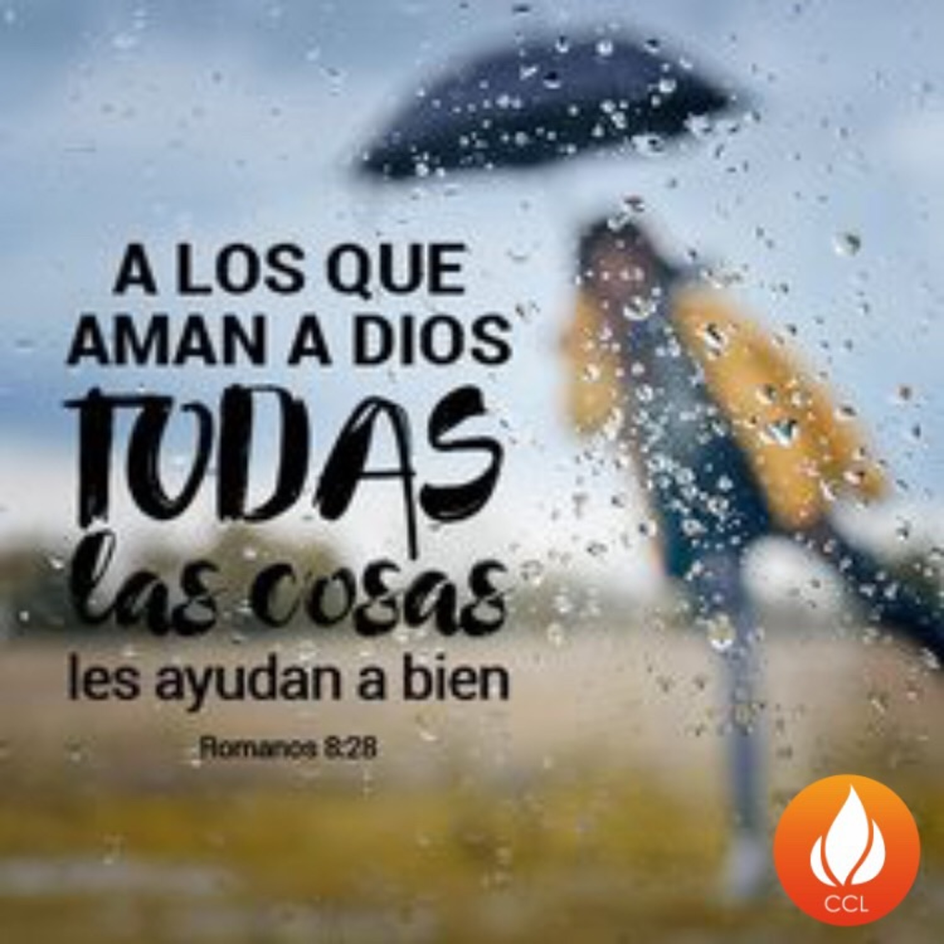 Devocionales