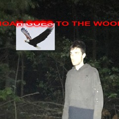 Noah goes to the woods PROD. BY SAM HENRY