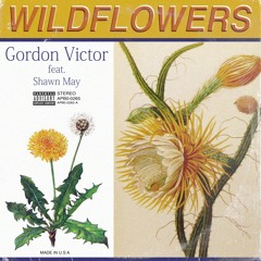 Wildflowers feat. Shawn May