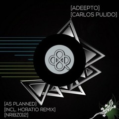 As Planned (Original Mix)