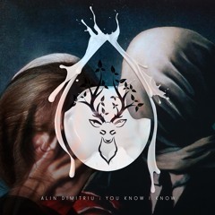 Alin Dimitriu - You Know I Know