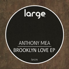 Anthony Mea | Brooklyn Love (Out Now)