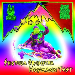 Shotgun Orchestra - ACID DJ [ FREE DL on "Hofmann Test" EP]