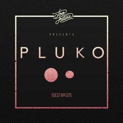 Too Future. Guest Mix 075:  pluko