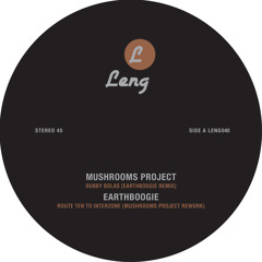 Earthboogie - Route Ten To Interzone (Mushrooms Project Rework)