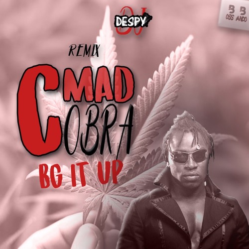 Mad Cobra -  Big It Up (By Despy) [Bet a bad]