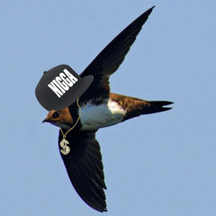 Ghost Fella - Youngster Swift