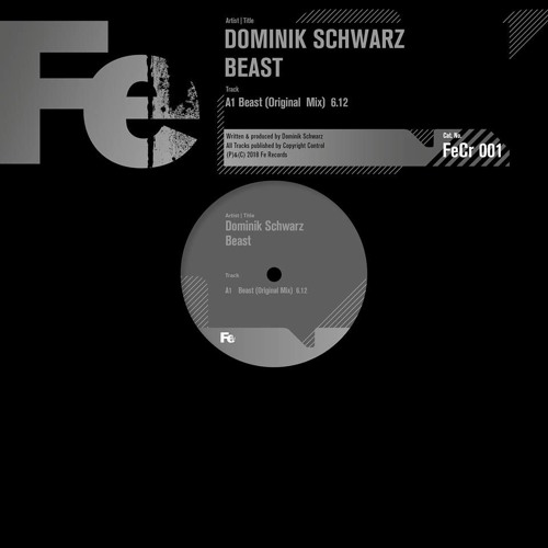 Beast (Original Mix) [FeCr 001]