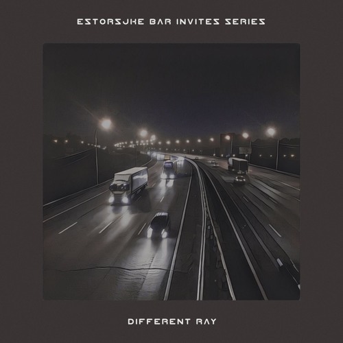 #24 - Estorsjke Bar | guests | Different Ray