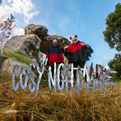 COSY NGHTMRE - Sergent Sulyvan