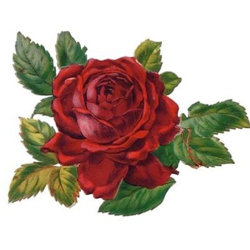 Stream Evening Gown Cover (Mick Jagger 1993) by Richard P Faulkner