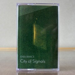 Home Gardens (from City of Signals)