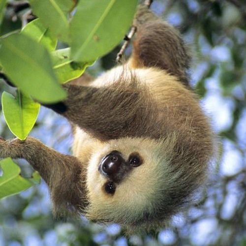 Submissions — Week 22 (Theme: New School)