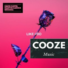 Like I Do - David Guetta, Martin Garrix & Brooks (Cooze Remix)