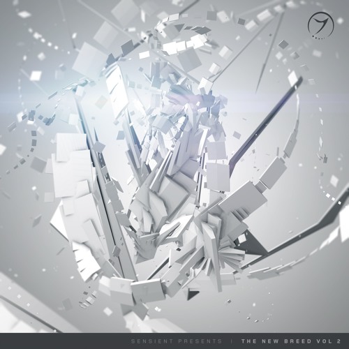 Sensient presents "The New Breed Vol.2" (Various Artists)